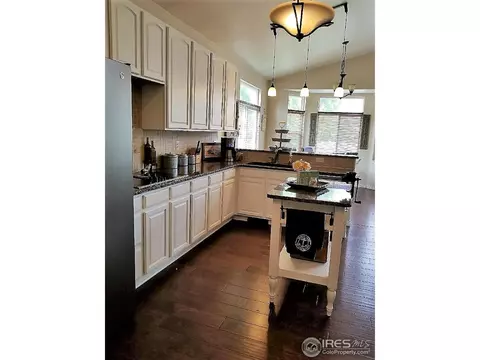 234 Cattail Bay, Windsor, CO 80550 photo 11