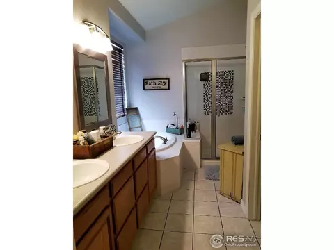 234 Cattail Bay, Windsor, CO 80550 photo 18
