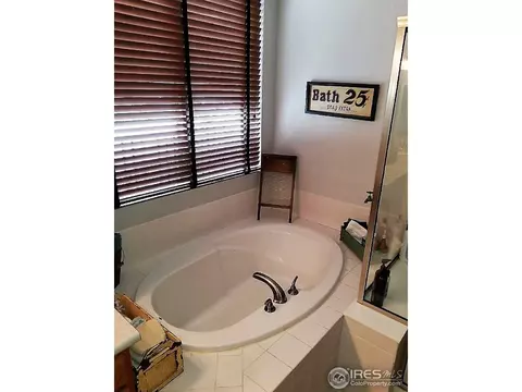 234 Cattail Bay, Windsor, CO 80550 photo 17
