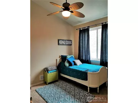 234 Cattail Bay, Windsor, CO 80550 photo 19