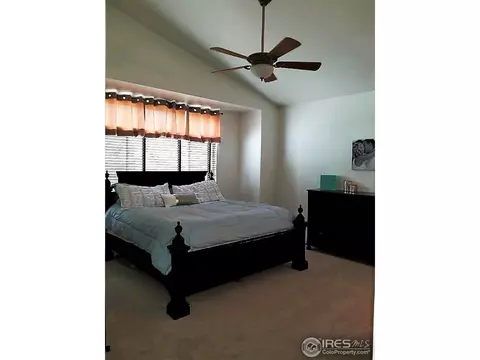 234 Cattail Bay, Windsor, CO 80550 photo 16