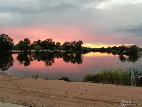 234 Cattail Bay, Windsor, CO 80550 photo 27