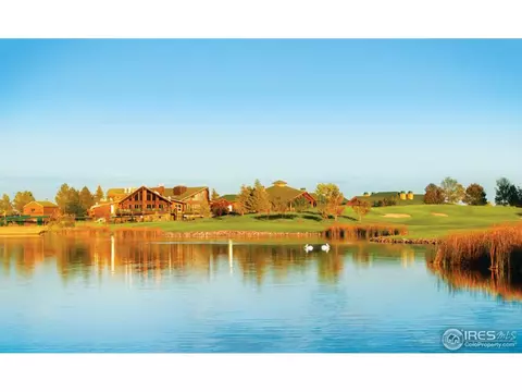 234 Cattail Bay, Windsor, CO 80550 photo 30