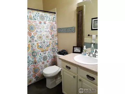 234 Cattail Bay, Windsor, CO 80550 photo 21