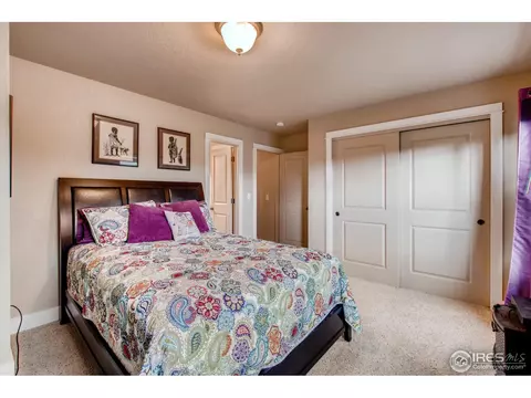 824 Cliffrose Way, Severance, CO 80550 photo 18