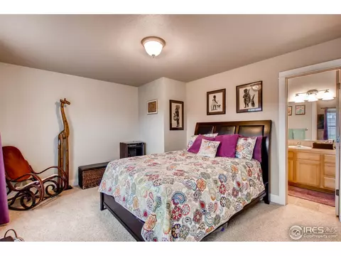 824 Cliffrose Way, Severance, CO 80550 photo 16