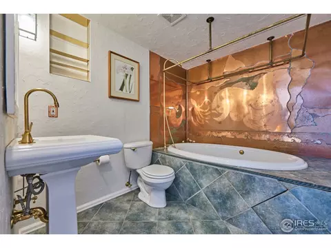 1130 Poplar Ave, Boulder, CO 80304 photo 27