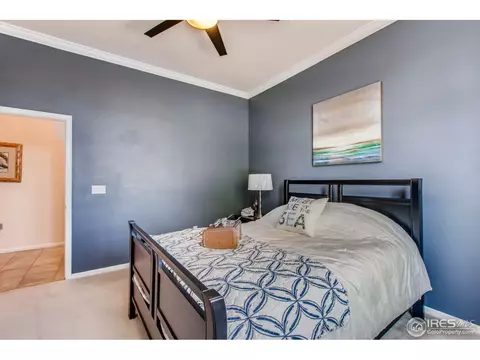 4293 Prairie Ct, Windsor, CO 80550 photo 24