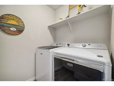 1136 Ibex Dr, Severance, CO 80550 photo 20