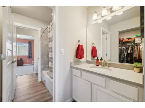 1136 Ibex Dr, Severance, CO 80550 photo 24