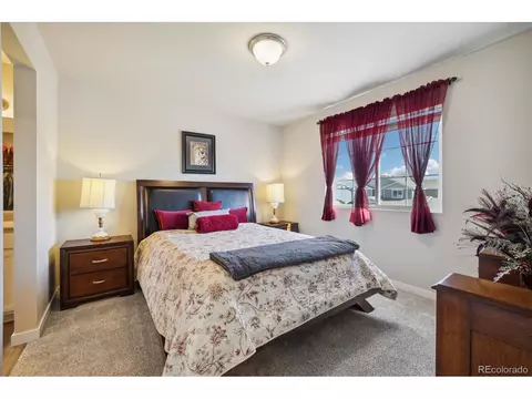 1136 Ibex Dr, Severance, CO 80550 photo 23