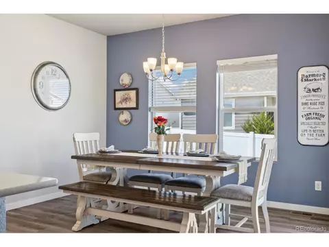 1136 Ibex Dr, Severance, CO 80550 photo 14