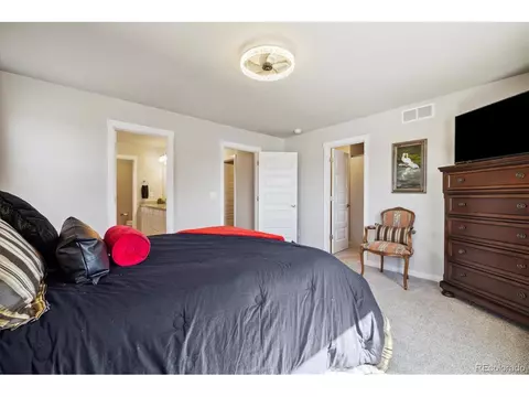 1136 Ibex Dr, Severance, CO 80550 photo 17