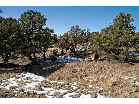 Naropa Tract, Crestone, CO 81131 photo 16