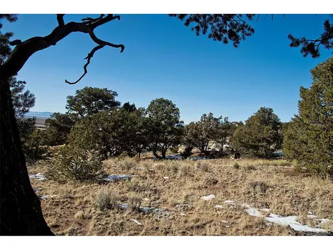 Naropa Tract, Crestone, CO 81131 photo 14