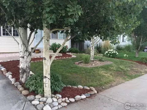 845 E 21st St, Greeley, CO 80631 photo 4