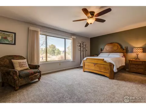 4821 Shavano Dr, Windsor, CO 80550 photo 21