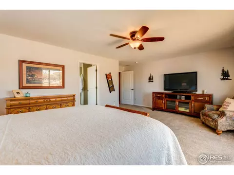 4821 Shavano Dr, Windsor, CO 80550 photo 23