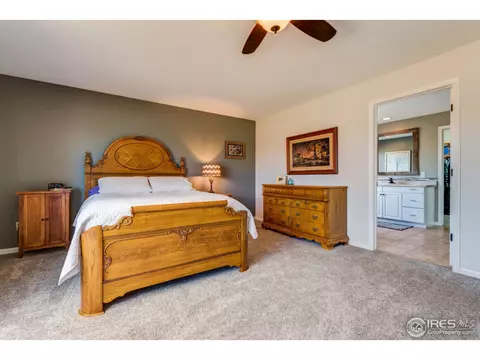 4821 Shavano Dr, Windsor, CO 80550 photo 22