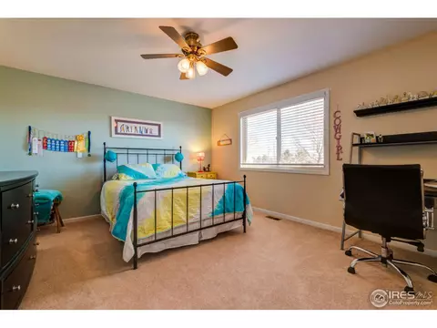 4821 Shavano Dr, Windsor, CO 80550 photo 26