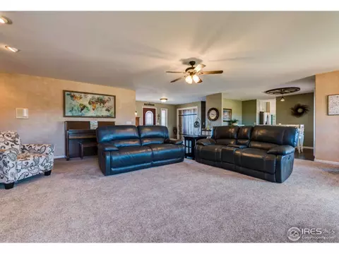 4821 Shavano Dr, Windsor, CO 80550 photo 9
