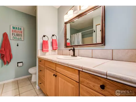 4821 Shavano Dr, Windsor, CO 80550 photo 28