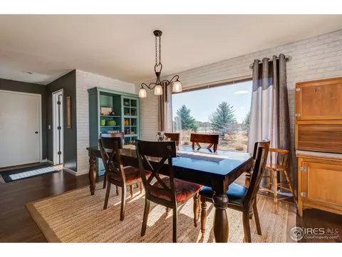 4821 Shavano Dr, Windsor, CO 80550 photo 11