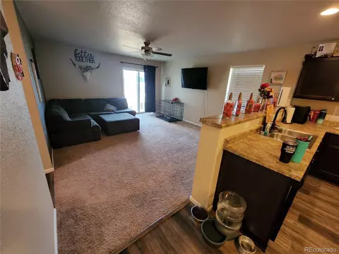 47341 Lily Ave, Bennett, CO 80102 photo 8