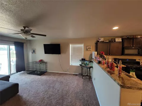 47341 Lily Ave, Bennett, CO 80102 photo 11