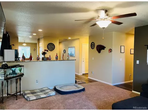 47341 Lily Ave, Bennett, CO 80102 photo 15