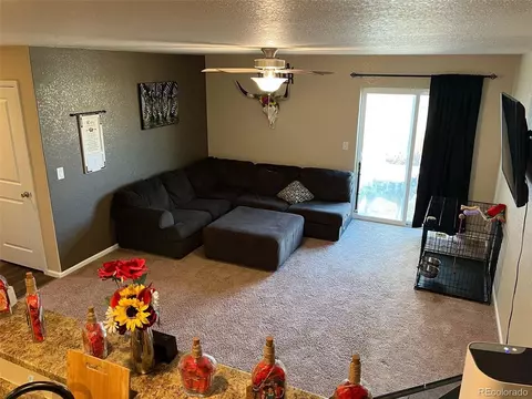 47341 Lily Ave, Bennett, CO 80102 photo 10