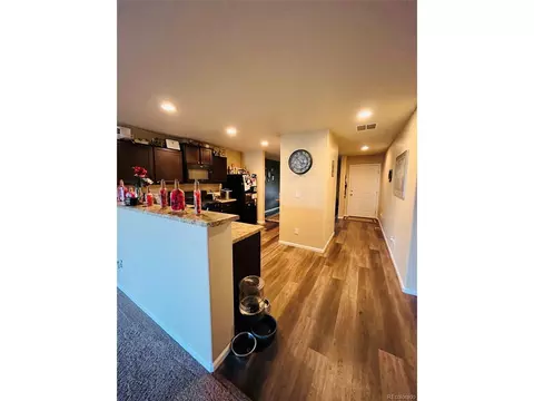 47341 Lily Ave, Bennett, CO 80102 photo 24