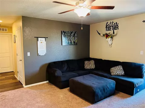 47341 Lily Ave, Bennett, CO 80102 photo 9