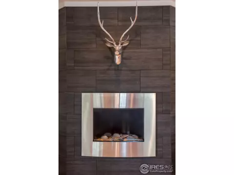 4656 Dapple Ln #3, Boulder, CO 80301 photo 10