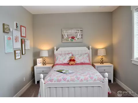 8090 Cherry Blossom Dr, Windsor, CO 80550 photo 25