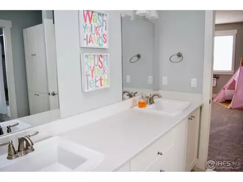 8090 Cherry Blossom Dr, Windsor, CO 80550 photo 28