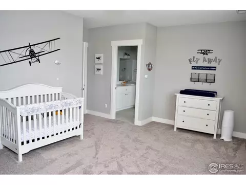 8090 Cherry Blossom Dr, Windsor, CO 80550 photo 30