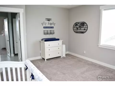 8090 Cherry Blossom Dr, Windsor, CO 80550 photo 31