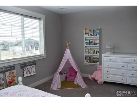 8090 Cherry Blossom Dr, Windsor, CO 80550 photo 26