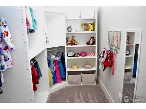 8090 Cherry Blossom Dr, Windsor, CO 80550 photo 27