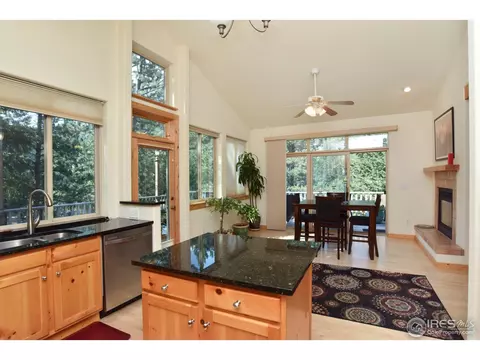 22145 S Saint Vrain Dr, Lyons, CO 80540 photo 10