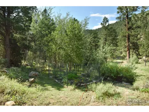 22145 S Saint Vrain Dr, Lyons, CO 80540 photo 31