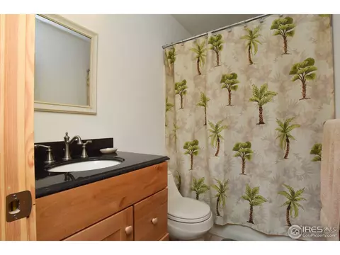22145 S Saint Vrain Dr, Lyons, CO 80540 photo 26