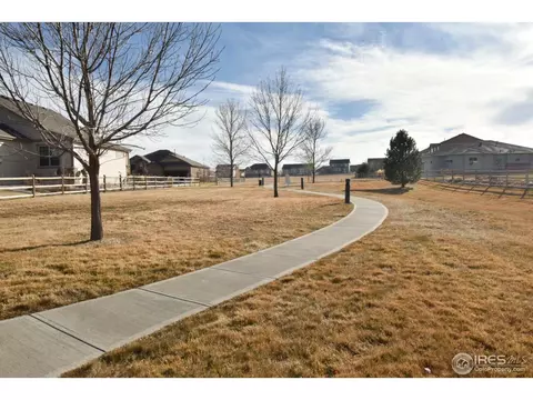 8301 Wynstone Ct, Windsor, CO 80550 photo 23