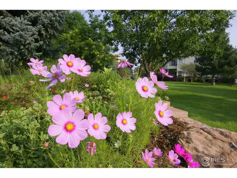 540 Mohawk Dr #16, Boulder, CO 80303 photo 2
