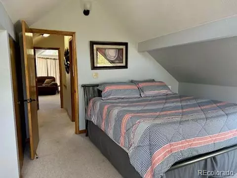 20 Mill Run Rd, Mosca, CO 81146 photo 20