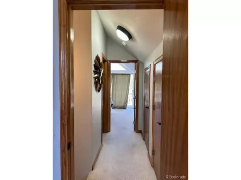20 Mill Run Rd, Mosca, CO 81146 photo 16