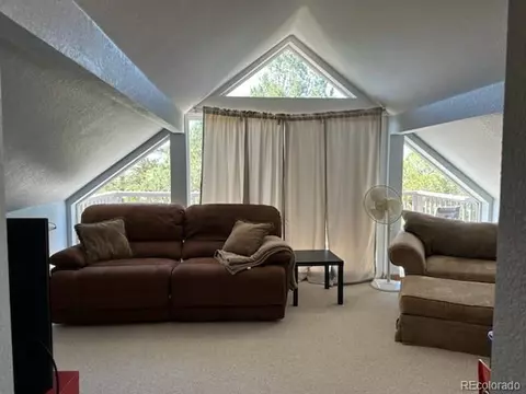20 Mill Run Rd, Mosca, CO 81146 photo 18