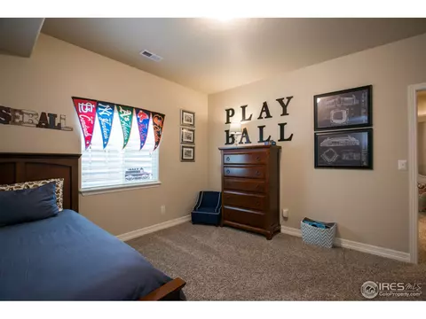 7414 Thistledown Dr, Windsor, CO 80550 photo 16