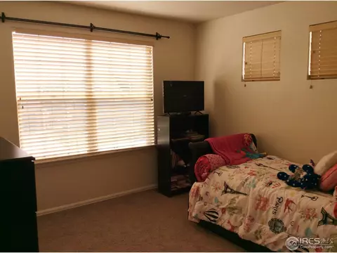 8115 Raspberry Dr, Frederick, CO 80504 photo 24